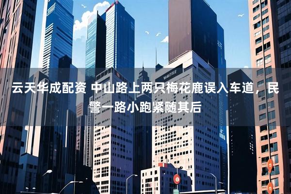 云天华成配资 中山路上两只梅花鹿误入车道，民警一路小跑紧随其后