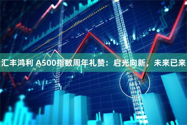 汇丰鸿利 A500指数周年礼赞：启光向新，未来已来