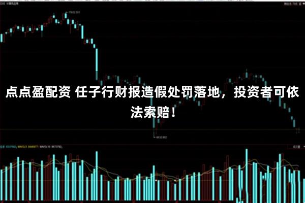 点点盈配资 任子行财报造假处罚落地，投资者可依法索赔！